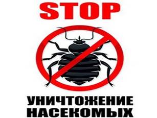 Внимание!.