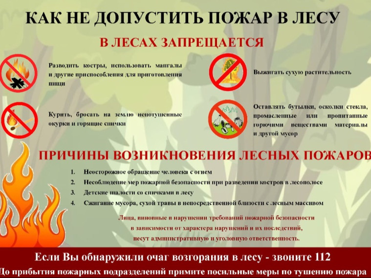Как не допустить лесных пожаров.